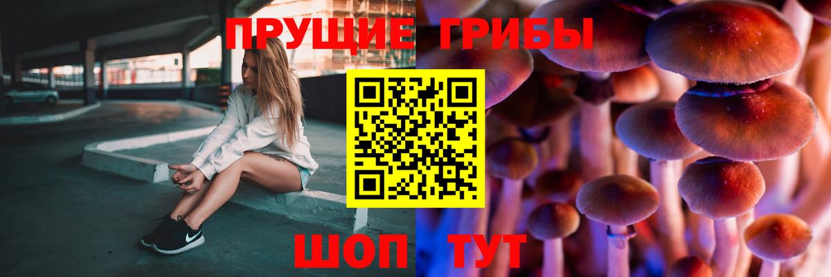 Галлюциногенные грибы Psilocybine cubensis  Вход с VPN  Галлюциногенные грибы Magic Shrooms  Краснознаменск 