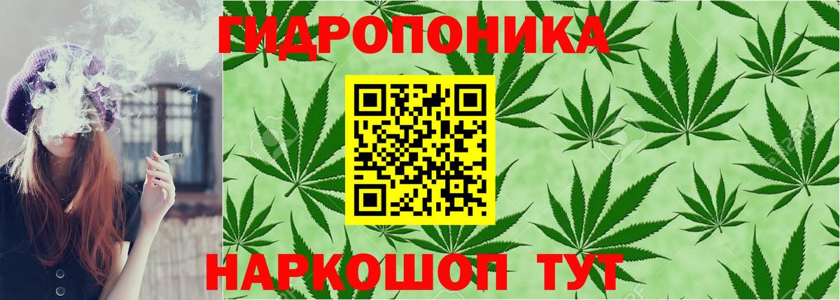 Бошки Шишки индика Краснознаменск